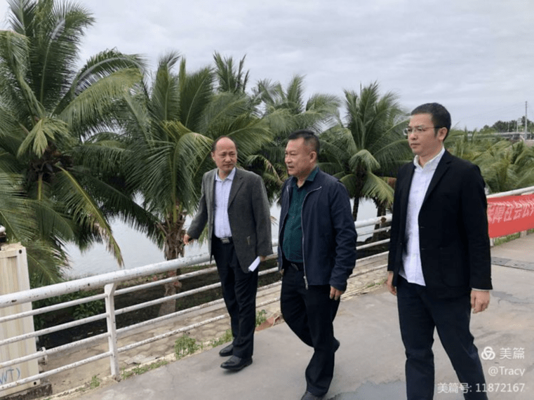 区人大动态海棠区人大常委会主任陈玮带队开展河长制巡河工作