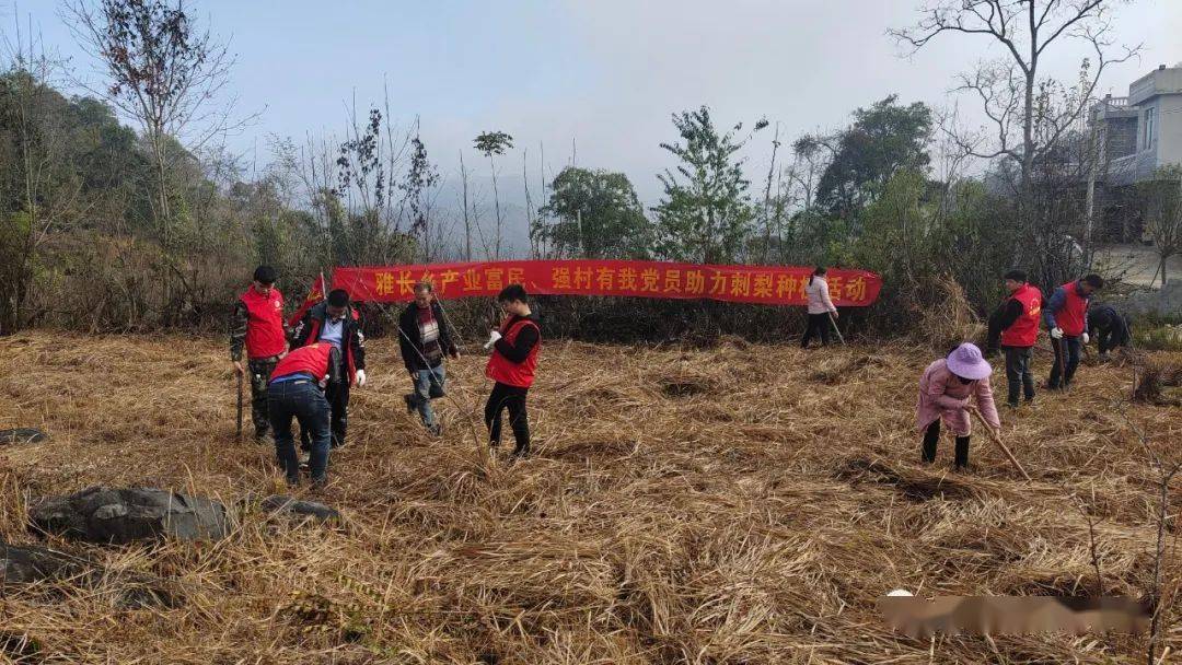 雅長鄉實施三包政策跑出11155工程建設加速度