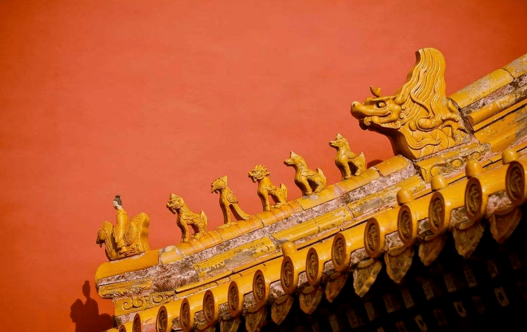 为何故宫的屋顶没有鸟敢落?_鸟类_鸟儿_宫殿