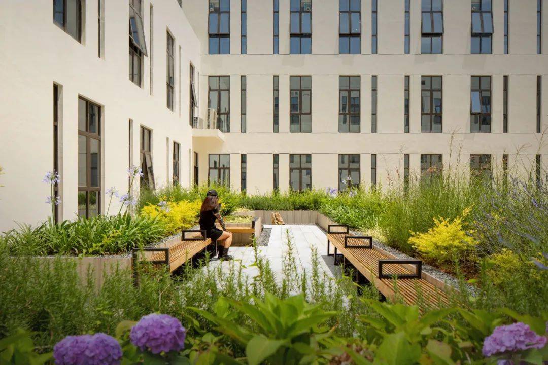 迈德出品|东方疗愈花园——盘州中医院景观_the_chinese_old