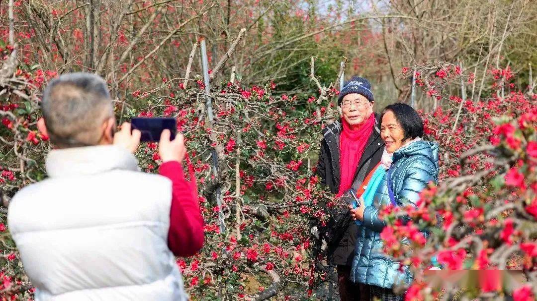 导航|都江堰春游私藏地！十里海棠、田园农场、地道乡味，春日新耍法都在这儿~