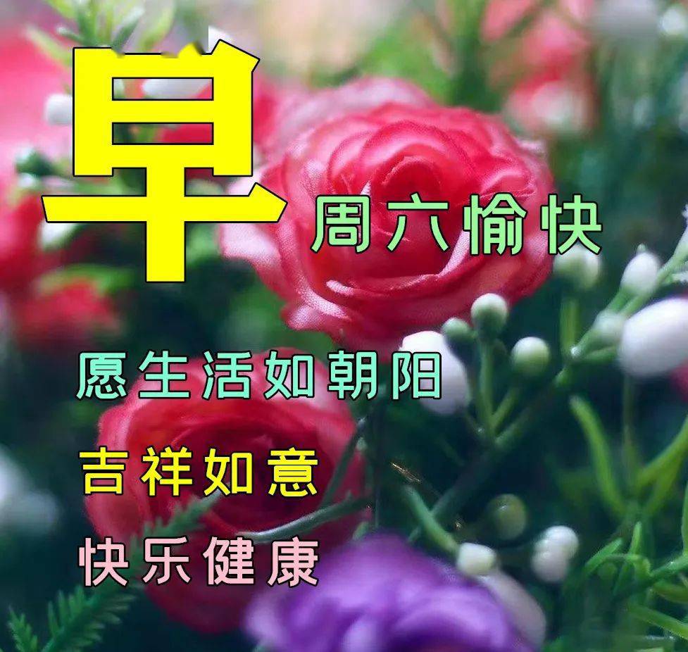 2月26日早上好祝福语图片大全问候动态表情图片大全