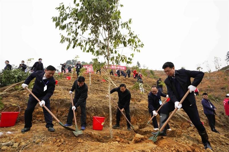 琦竣|南宁各界代表参与义务植树活动