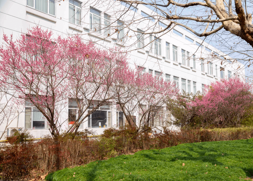 上海中医药大学壁纸图片