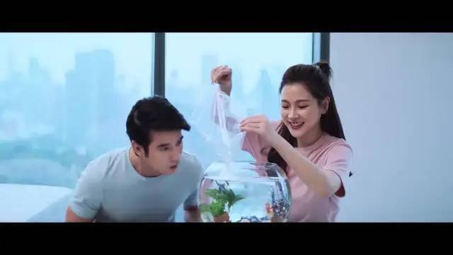 方案|8.4跌到4.1!猥琐大烂片,糟蹋了我的白月光