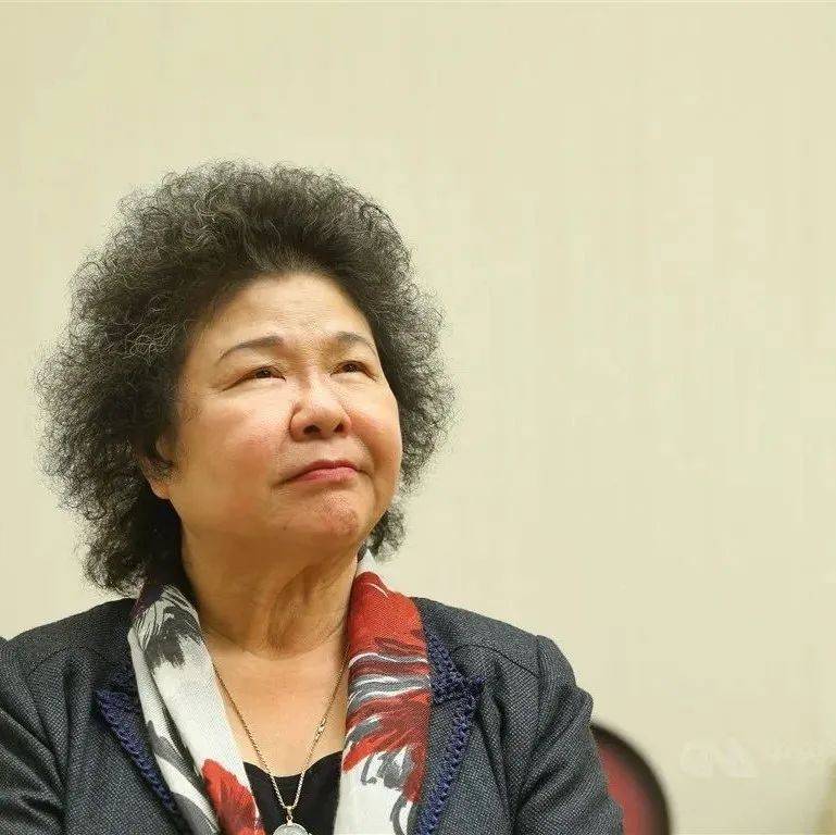 “大菊为重”在岛内成敏感词丨台湾一周_陈菊_杨宝桢_民众党