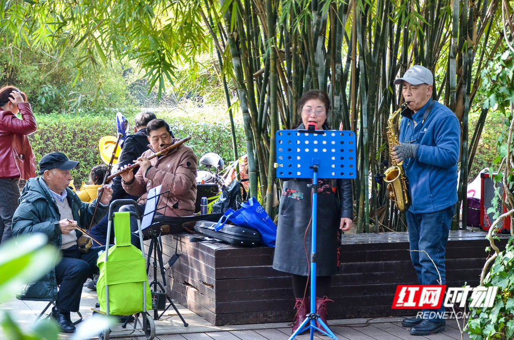 阳光|组图丨暖阳奏响春光“交响曲”