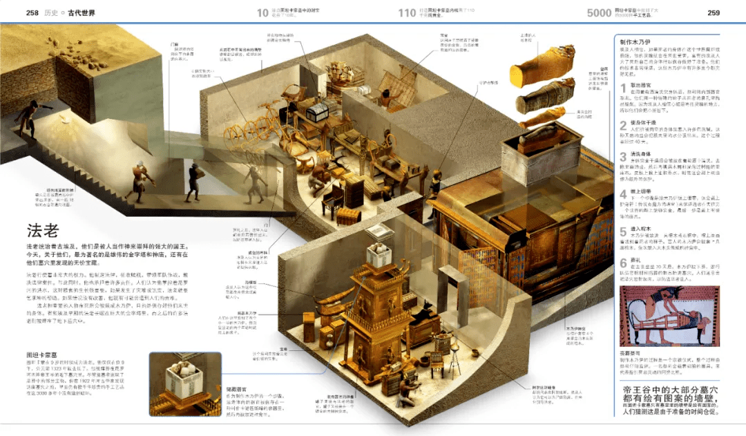 澎湃好物 | DK大百科，用世界的精彩，激活你的好奇心！