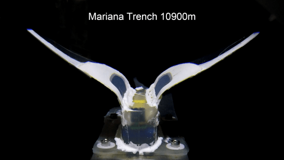 年度|2021年度中国科学十大进展发布