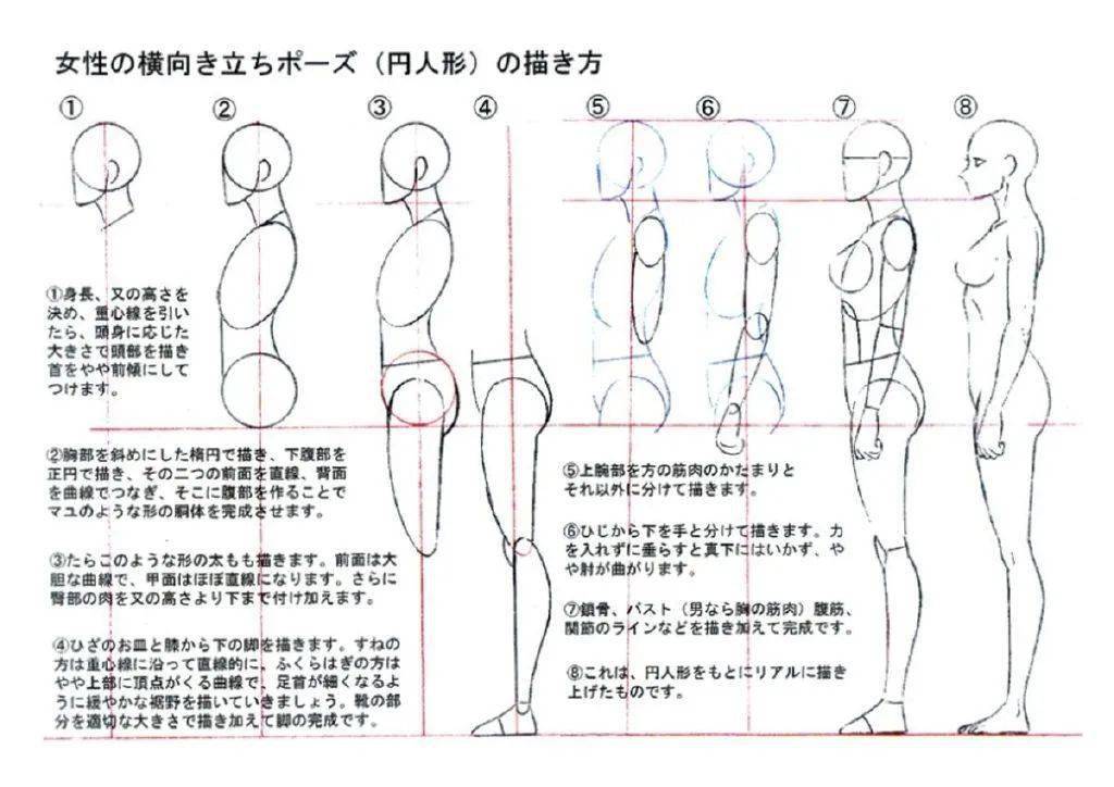 体育绘图人体比例图片