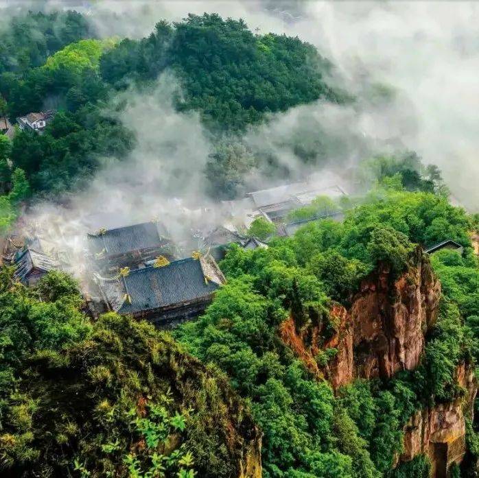 “林距离”,“森呼吸”,赶赴一场绿色之约_綦江_重庆_季节