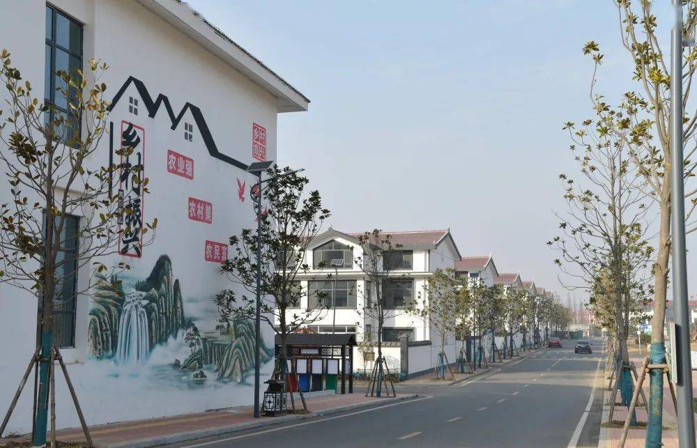 石梁河镇_养殖_网箱