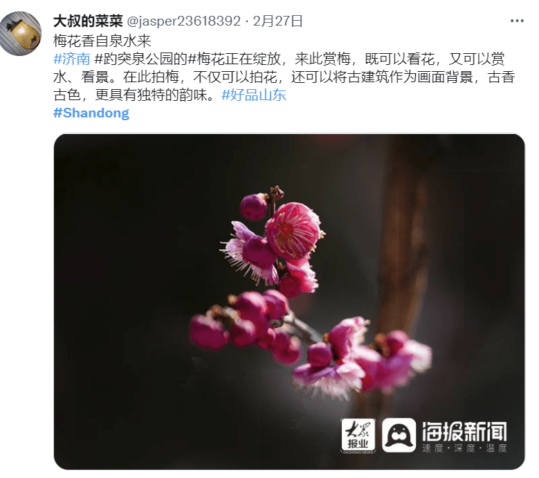 山东 登上推特热搜榜 大天鹅 大煎饼 小豆包向海外展现魅力 网友 外国 美食 山东 登上推特热搜榜 大天鹅 大煎饼 小豆包向海外展现魅力 网友 外国 美食