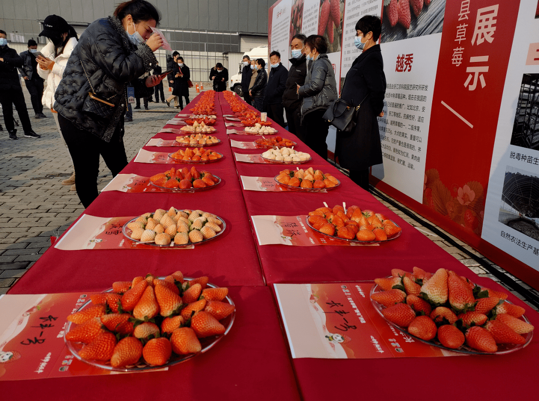 第十九届长丰草莓文化旅游节开幕