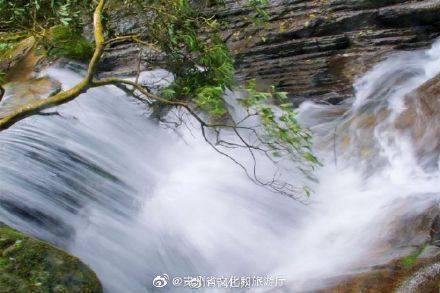 微博|春天来了，跟我一起去亚木沟“撒野”！