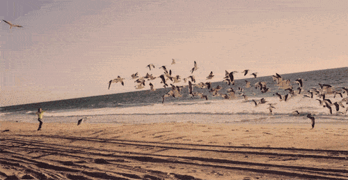 47a37d2f081647deae23d67c32480327.gif