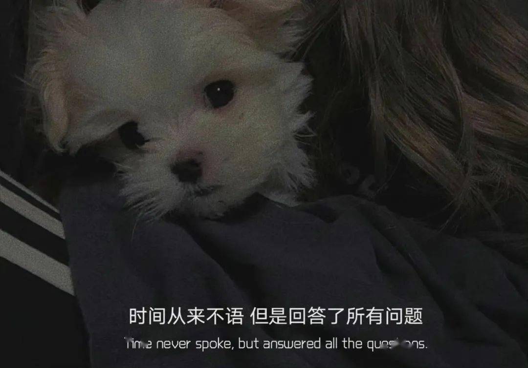 大概成年人的崩溃从借钱开始_the_end_成年人