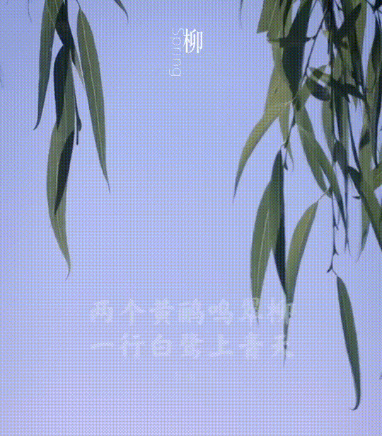 唐·雍裕之江边柳二月春风似剪刀.不知细叶谁裁出,万条垂下绿丝绦.