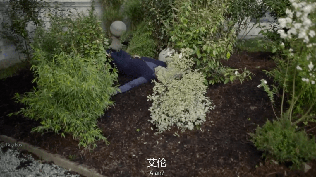 男爵|不满意《尼罗河上的惨案》?就看这部高分剧啊!