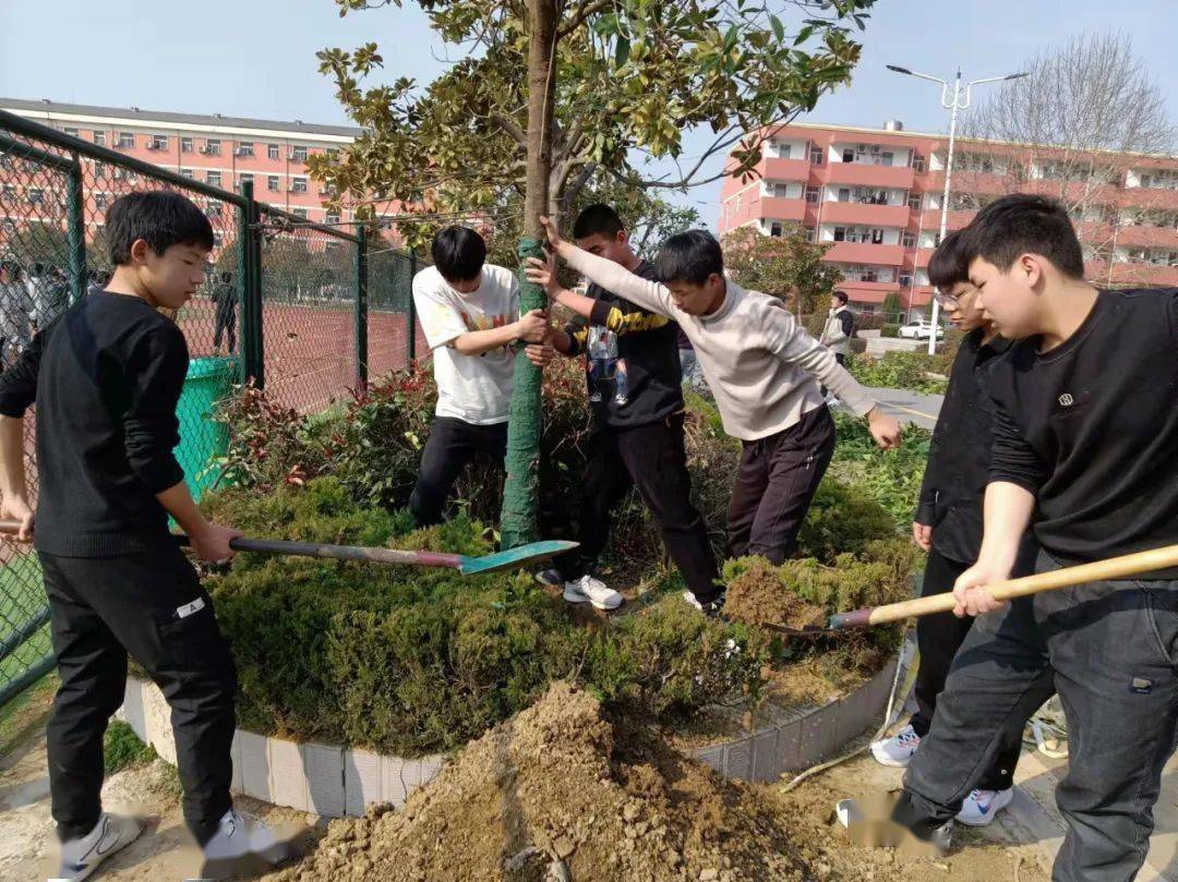 加强生态文明教育培养热爱劳动情操泗县双语中学美化绿化校园环境