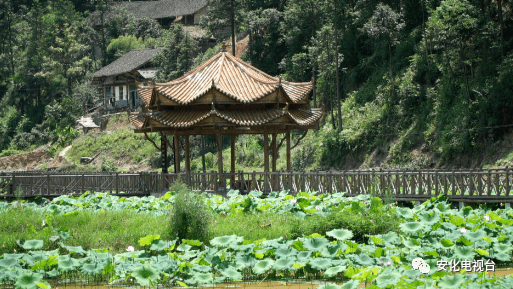 风来|安化：瞥见黄石 与你归园田居