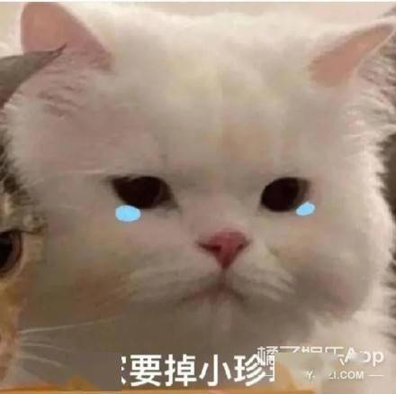 什么|可算知道这节目为啥请他了...