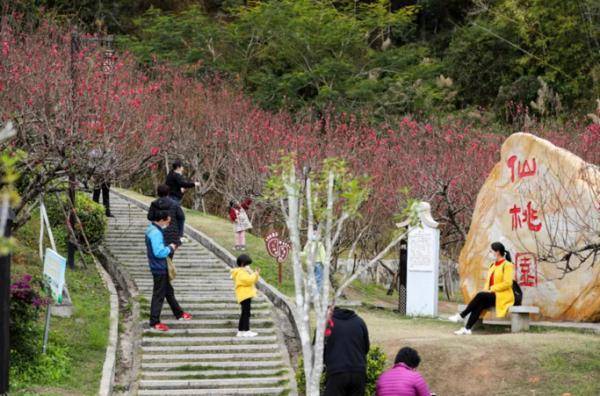 广州|美美美！3月广州花海太惊艳！最新赏花攻略快收藏