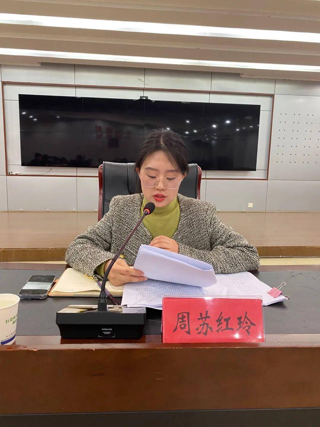 会上,周苏红玲指出,过去一年,在玉山县委,县政府的正确领导下,在团