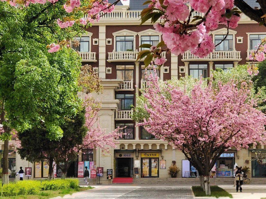 学生总结的报考西安外事学院的10大理由第一个就深得我心