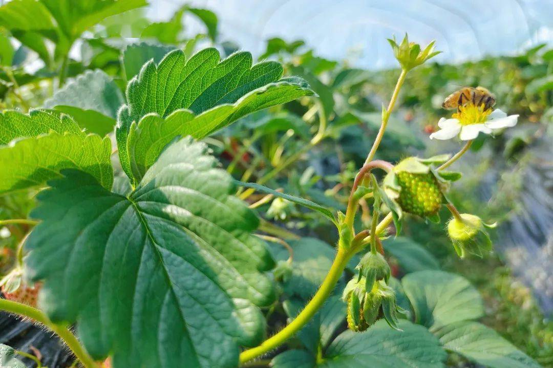 城固县|Hey~ 这是篇很甜的推送→