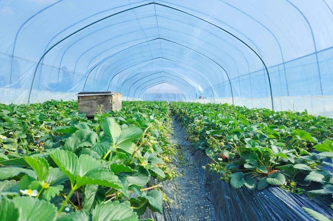 城固县|Hey~ 这是篇很甜的推送→