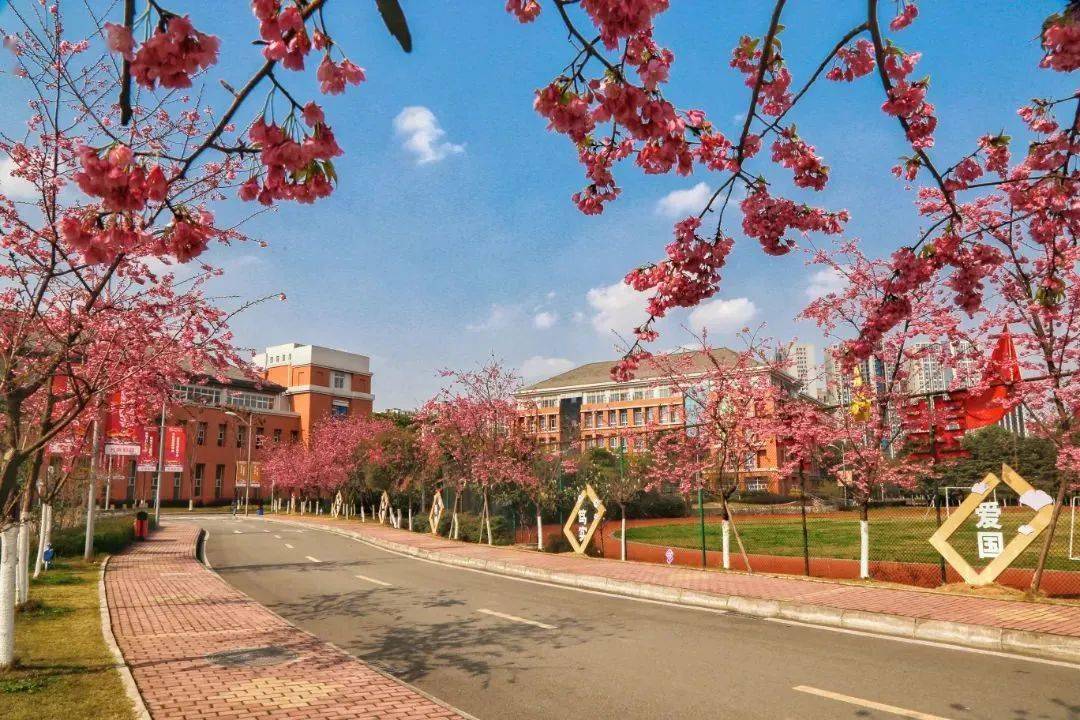 单招季四川文化产业职业学院2022年单招章程