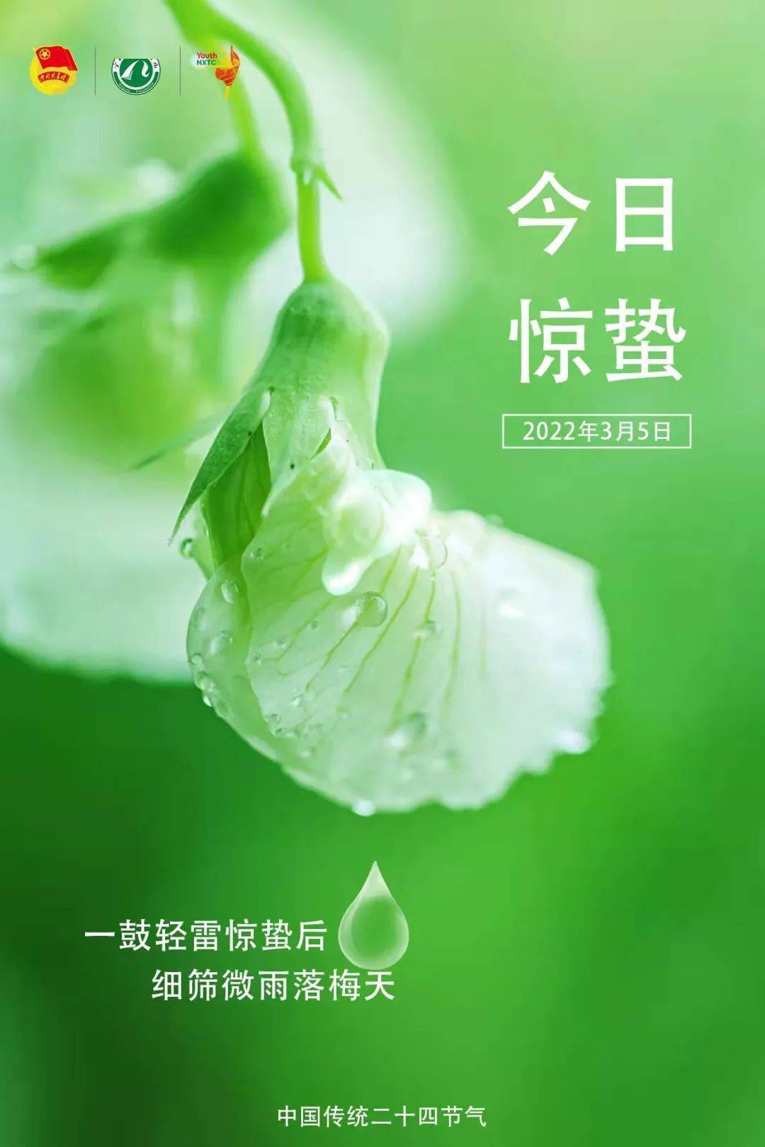 唐渊惊蛰｜一鼓轻雷惊蛰后，细筛微雨落梅天