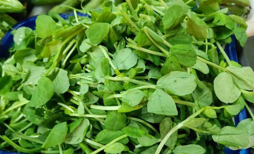 咬一口吴兴的春天鲜