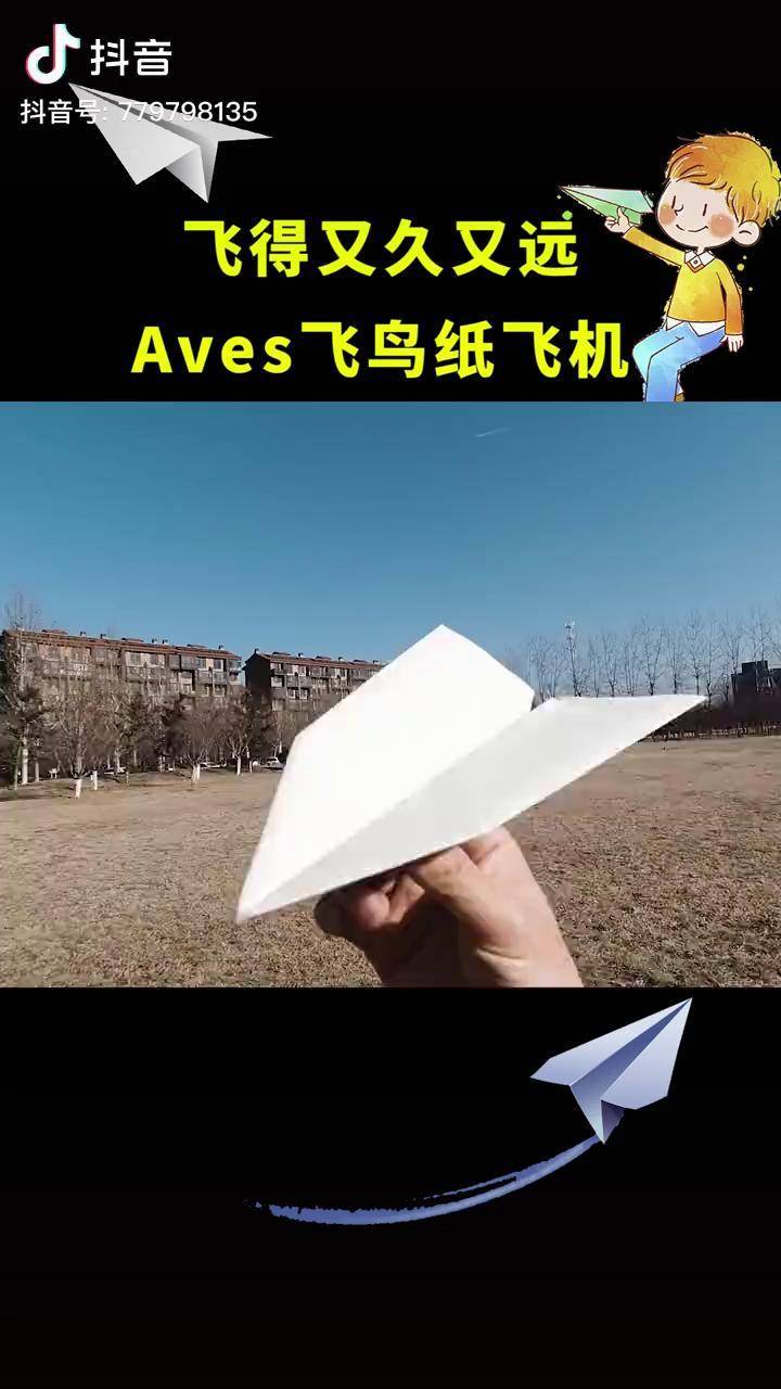 飞得很久很远的aves飞鸟纸飞机纸飞机折纸手工