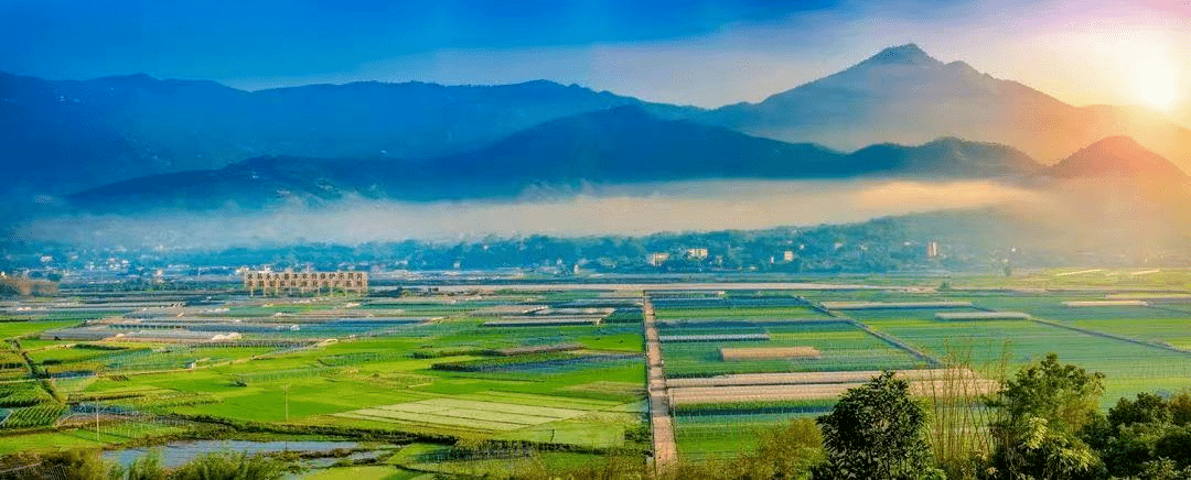 在仁和區大田鎮片那立村,經過新農村改造後,一幢幢鄉村別墅鱗次櫛比.