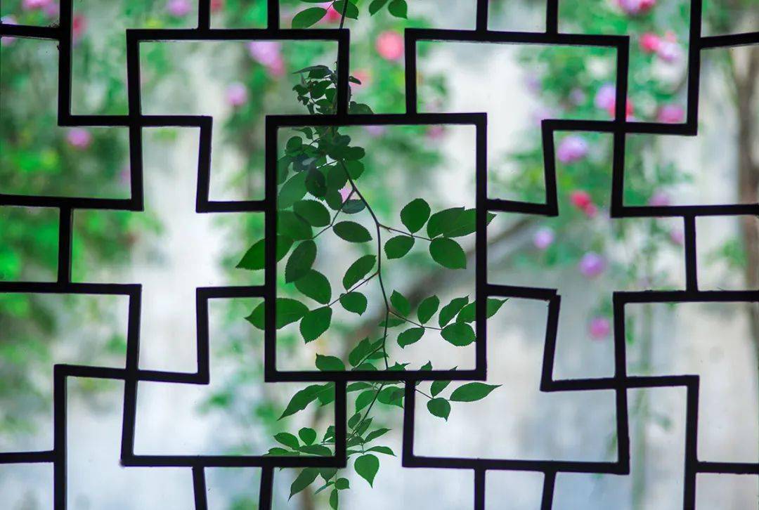 国风摄影借景光影意境解读中式窗里的春夏秋冬