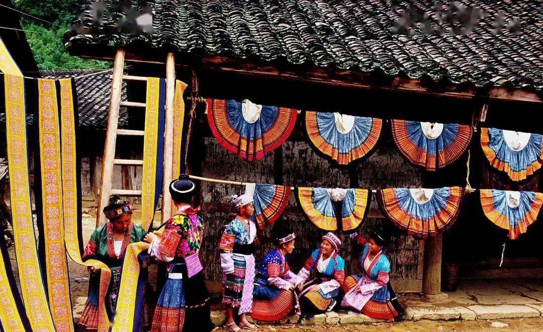 有700多万苗族人口生活在民族区域自治内,占苗族总人口近80﹪.