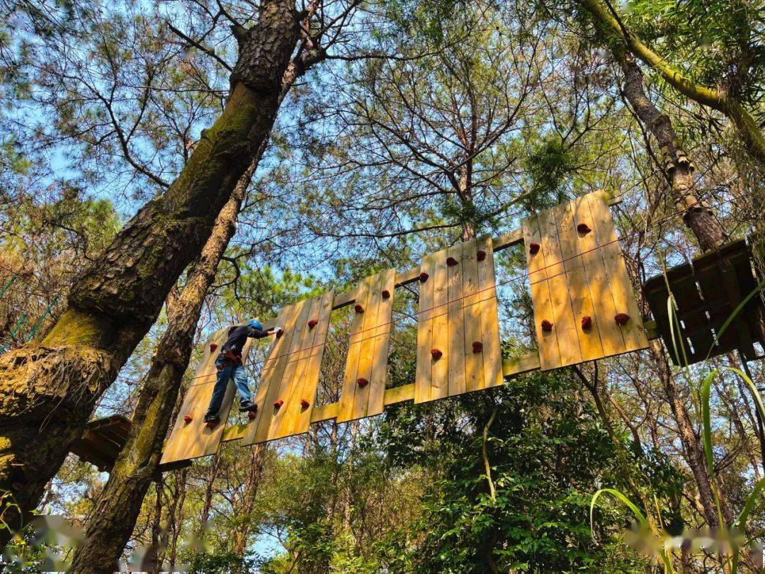 其中黑線最難按照難易程度分為5條探險線路,蘆仙山飛越叢林探險項目不