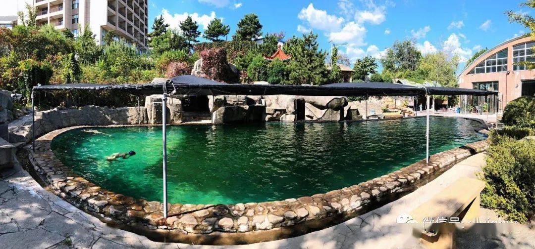 3月20日周日大连龙门汤品质温泉ch摄影地美拍1日游含午餐