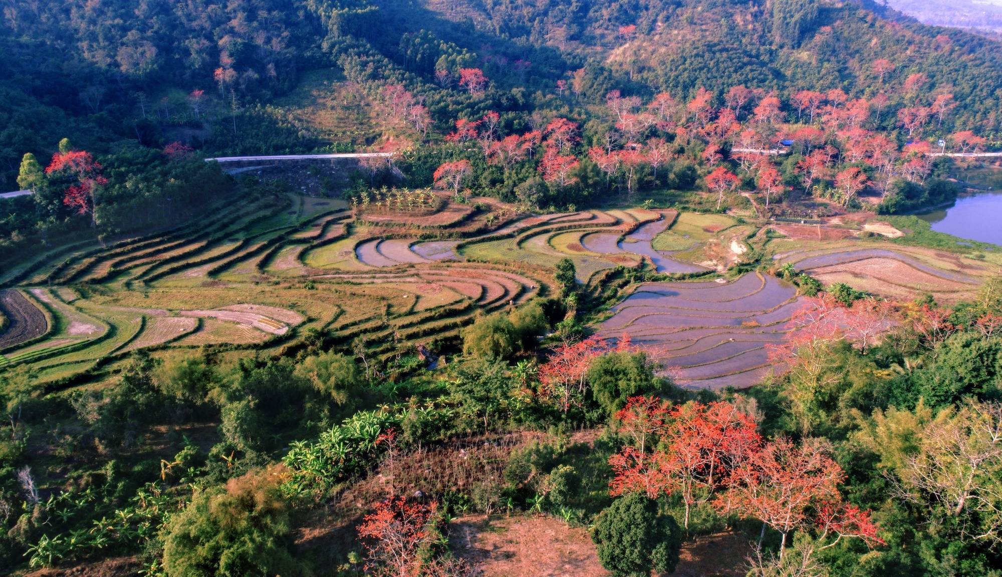 中国|中国旅游度假区高峰论坛首次落地海南 百名专家学者齐聚共话旅游新发展