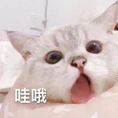 俊晔|大S具俊晔官宣结婚;网剧《唐人街探案2》预计6月开机