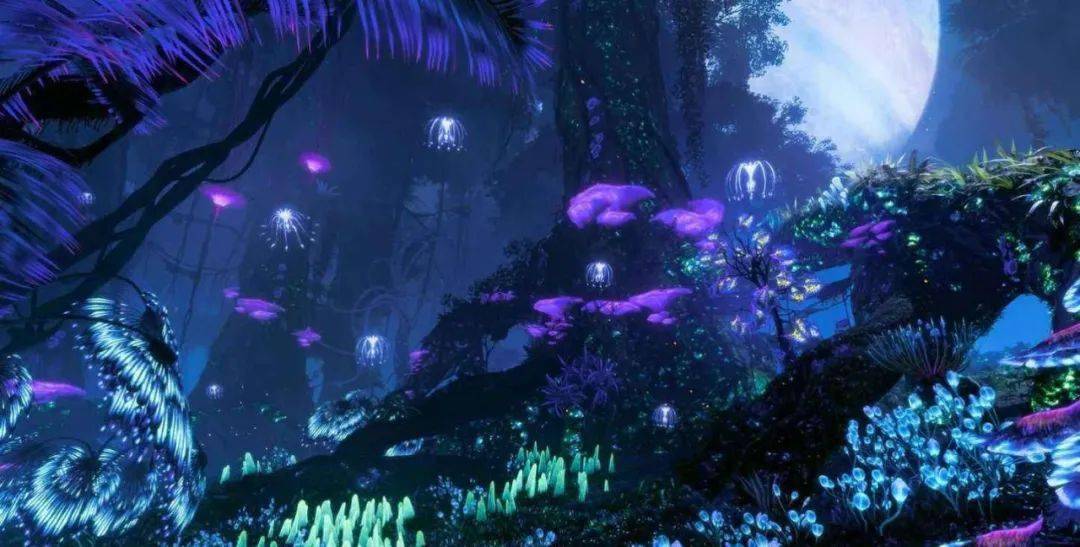 那么,你是否好奇的想要看一看,《阿凡达》片中那些神奇的植物是以地球