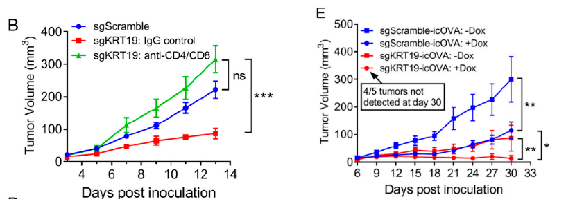 免疫|PNAS：癌细胞竟有“金钟罩铁布衫”！