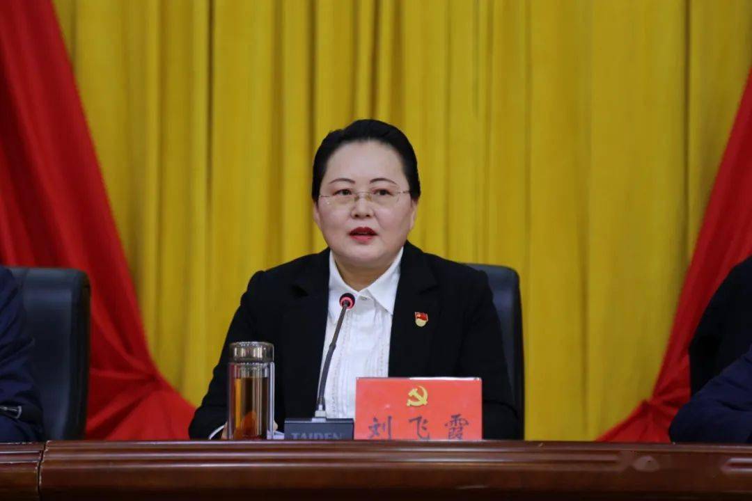 会议由县委常委会主持,县委书记刘飞霞代表县委常委会向全委会报告