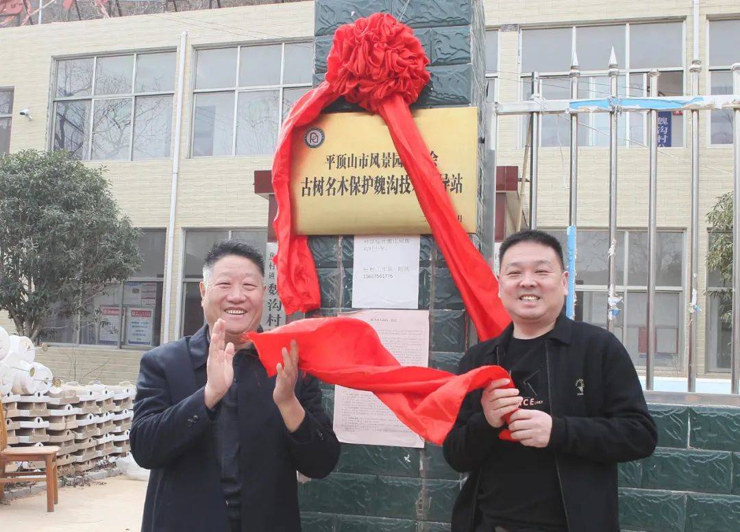 我市首个古树名木保护技术指导站落户汝州魏沟村_焦村镇_群落_自然