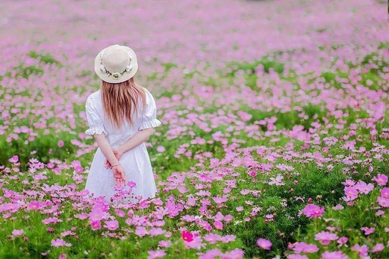 女神节春天因百花而芬芳世界因女性而美丽