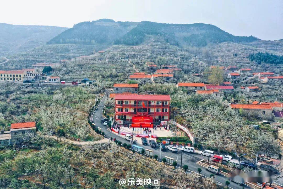 71 推荐打卡地:沂源县燕崖镇71 打卡时间:4月上旬至4月下旬樱桃花