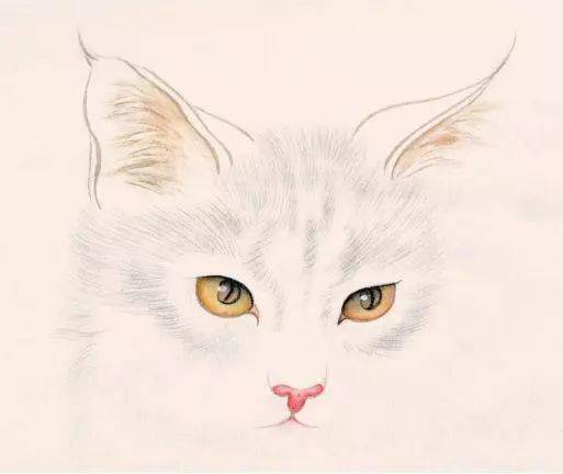 教你画一只工笔凝神猫(丝毛技法和猫眼画法)_小猫_瞳孔_赭石