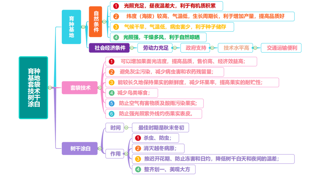 农作物生长思维导图图片